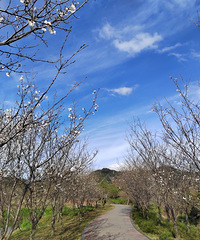 [������]ӣ������ʱ��