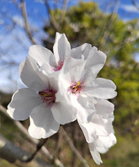 [������]ӣ������ʱ��