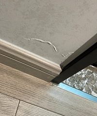 ����ʲôԭ��