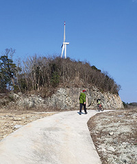 ��ĸɽ����ͷ��