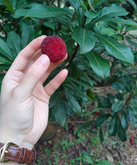 95���ϵС���