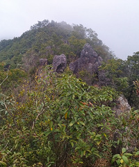 [����]��Խ����ɽ���������Ҹ��;��������Ŀ�����