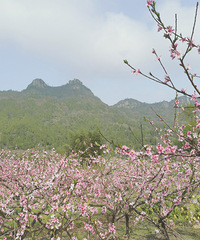 [����]̽������ɽ��´����ͷ��͵��̵�ʮ�������Զ�