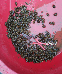 �����ݣ��ƹ��죬8��һ�������ڵ���˿�ַ�������