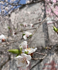 ���۸��᡿��Ů���ѷֿ����㻹�����Ÿ�����ϵ��ʽ��