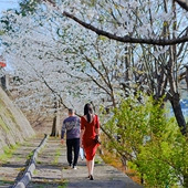 �ٺ�����ӣ��