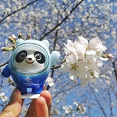 ���Ŷ���ȥ�ͻ�