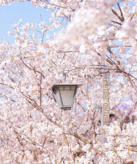 ����Լ��������