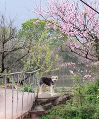 [������]������ͻ�δ��