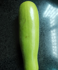 ������ǡ���Ƥ���ѡ���Ƥ�����ߺ�