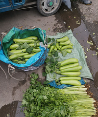 ������ǡ���Ƥ���ѡ���Ƥ�����ߺ�