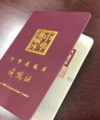 2021�л��������Ƥ�飺��鲻�ɣ���������