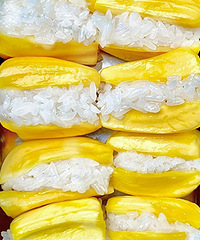 ������Ҭ��Ŵ�׷�