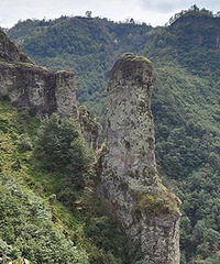 ����ɽ�׽С���żҾ�