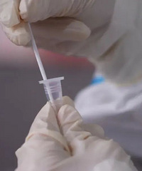 ������ȫ�и��ٵ��ڶ�������Ⱥ��չ��ԭ������˫��