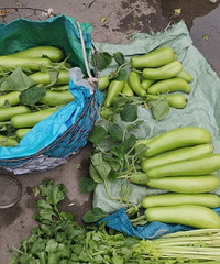 ����Ƥ�����ߺ�