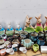 �ͼ۴������裬ȫ��