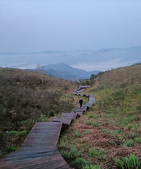 ����һ�괺�ô���̫��ɽ��������