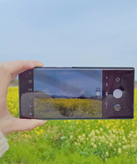 ��ɹ�������ס�Ѱ����Ӱ���к���