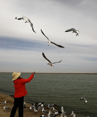 �������ߵ�������Լ��¸������ന����֮��������