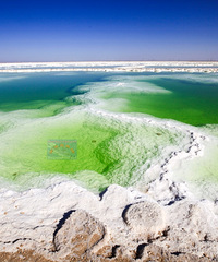 �������ߵ�������Լ��¸������ന����֮��������