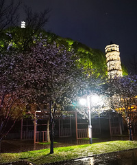 88�꽷���ˣ�δ�飬����25w+�й����ƻ�����Ѱһ�˹�������