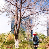 ����㳡��ɫ