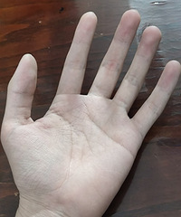 ��ɹ�������ס��������ѵ���