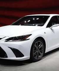 Ϊʲôÿ�δ������BBA����Ҫ���׿���˹ǣ��������