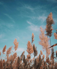 ���²���ͷ�����������ͣ�Ѱ86-91������Ů�����ĵ����ͺ�