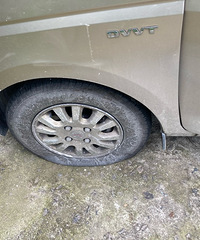 ������油��̥��15Ԫһ�������İ�