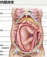 ���к����඼ȥ�����ˣ�һ��ͼ���������࣬���󿵸�һ��Ҫ����