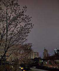 �ƻ�����·�Ź�԰��������ӣ��ʢ��������̫����