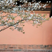 ӣ��ζ�Ĵ���