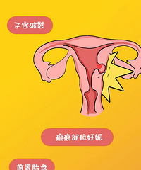 �ʹ�������������ʵ�������벻�����鷳