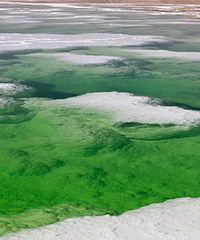 ã������