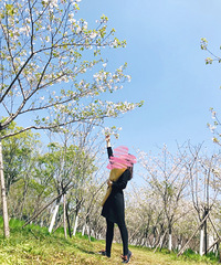 ���������׸�¥��Ը������ů  Ը�㴺����