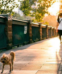 [����]��ΪʲôҪ��飿�����г��и�һ��