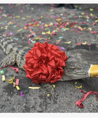 ������������������