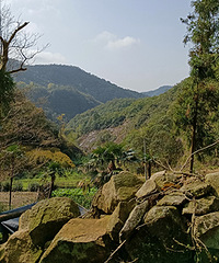 �����Ŵ�