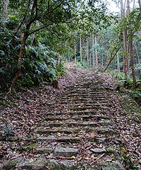 ������ŵ�