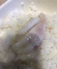 ��������ʳ�ֲݡ��������۵������