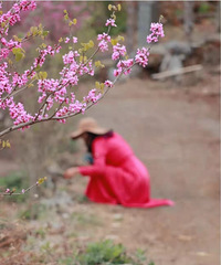 ���������׸�¥�������һ���ӳ��