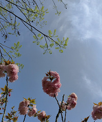 ǡ�괺�����ã�һ��Ҫ�ǵü�ʱȥ����90MM�Ҷ���