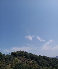 �о���Ƭ�ƶ��ǳ�˫��Ե�