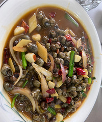 ���Ի���̨��No.63������Ԥ�ڵ����ⷹ��