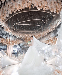 ����ܿ�ָ�ϣ�������Ľ�����