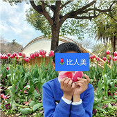 �ޱȲ��ϻ�����