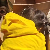 ��Ҫ���㽶������