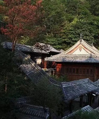 [����]̨��������ξ�Ʒ��·| ������Ȼ֮��